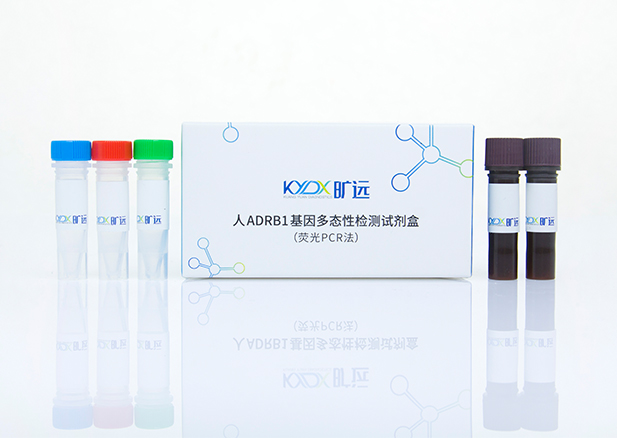 ��ADRB1�����̬�Լ���Լ��У�ӫ��PCR����