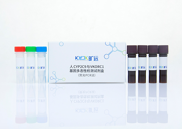 ��CYP2C9&VKORC1�����̬�Լ���Լ��У�ӫ��PCR����