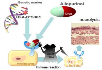 ��������廯��ҩ