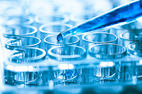 ������������Լ�����