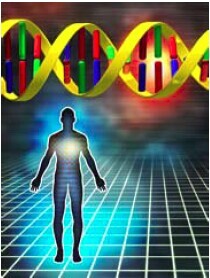 ��������г����÷���������Լ�