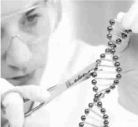 �ӻ�����ϵ����廯ҽ��