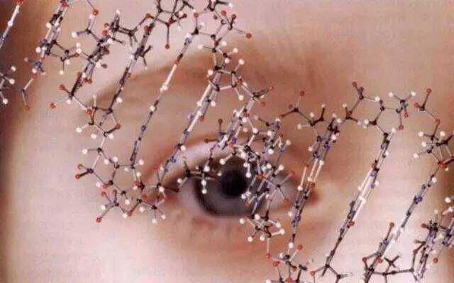 ����������PCR����˳����ڵ���