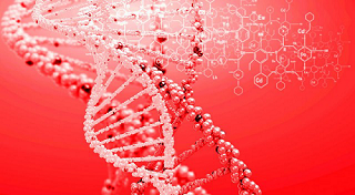 ŷ�˳�̨���ƻ�����Ե�������