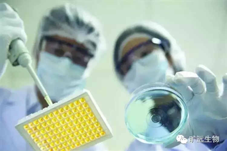 IVD��ҵ֮������Ϲ�ҵ������