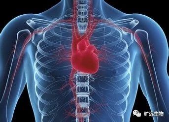 �ذ��Ƴ�����ŷ�޹�ʶ�����������Ѫ֢�͸���Ѫ��Σ�����ߵ���Ϻ�����ר�ҹ�ʶ��2018��