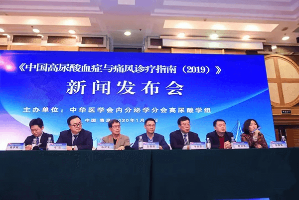 �����������й�������Ѫ֢��ʹ������ָ�ϣ�2019����