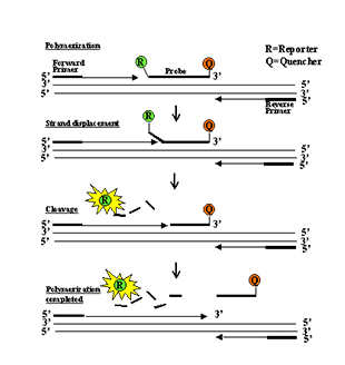 ������k8(�й���)�ٷ���վ