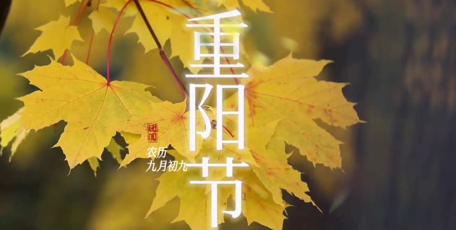 BOBty综合体育·(BOB Sport)官方网站