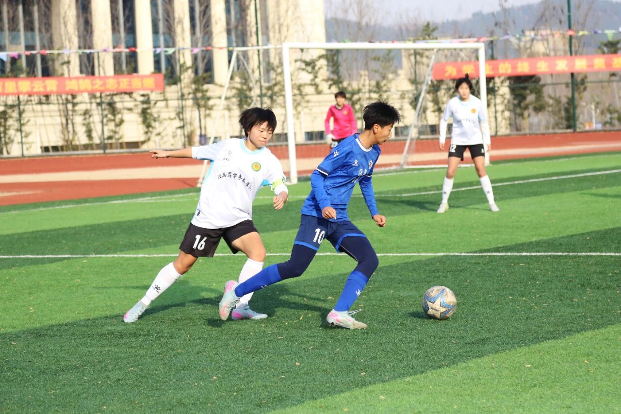 BOBty综合体育·(BOB Sport)官方网站