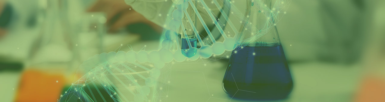 ������k8(�й���)�ٷ���վ